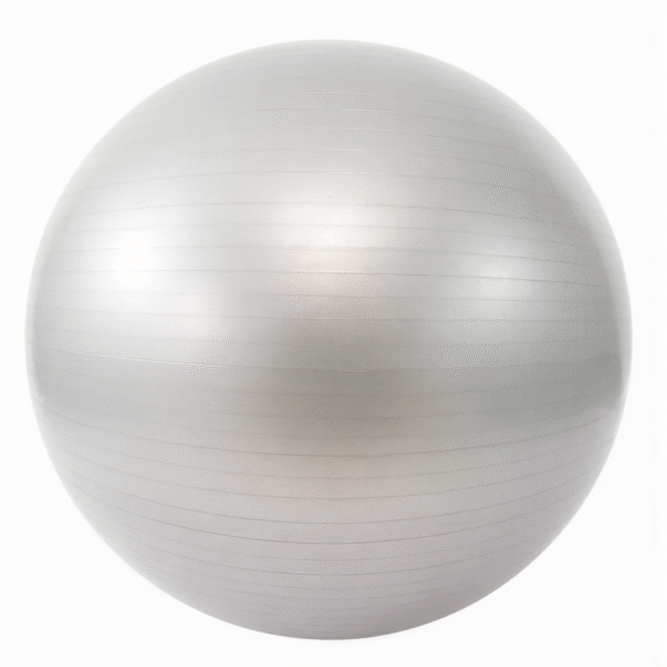 Pilates Topu 65cm